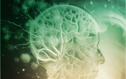 ¿Qué es la Recodificación Biológica?