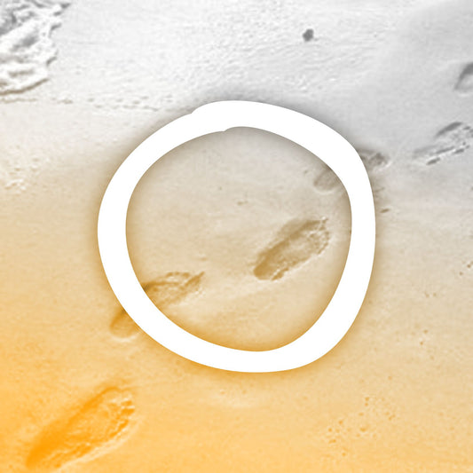 ENTREVISTA INICIAL ◯